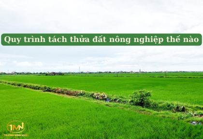 Quy trình tách thửa đất nông nghiệp thế nào (Ảnh minh họa)