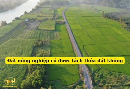 Đất nông nghiệp có được tách thửa đất không (Ảnh minh họa)
