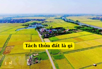 Tách thửa đất là gì (Ảnh minh họa)