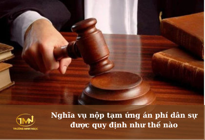 Nghĩa vụ nộp tạm ứng án phí dân sự được quy định như thế nào (Ảnh minh họa)