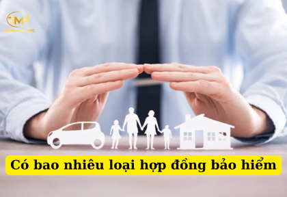 Có bao nhiêu loại hợp đồng bảo hiểm (Ảnh minh họa)