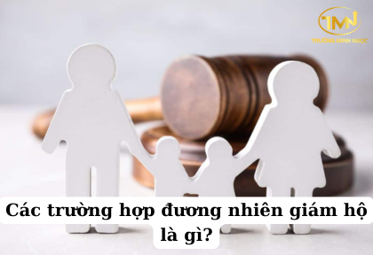 Các trường hợp đương nhiên giám hộ là gì (Ảnh minh họa)