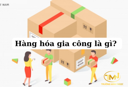 Hàng hóa gia công là gì