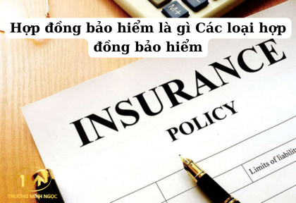 Hợp đồng bảo hiểm là gì Các loại hợp đồng bảo hiểm (Ảnh minh họa)
