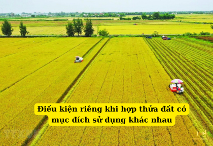 Điều kiện riêng khi hợp thửa đất có mục đích sử dụng khác nhau (Ảnh minh họa)