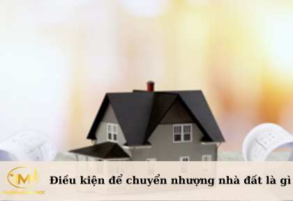 Điều kiện để chuyển nhượng nhà đất là gì (Ảnh minh họa)