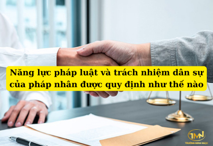 Năng lực pháp luật và trách nhiệm dân sự của pháp nhân được quy định như thế nào (Ảnh minh họa)