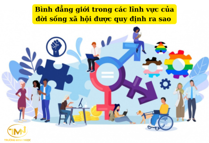 Bình đẳng giới trong các lĩnh vực của đời sống xã hội được quy định ra sao (Ảnh minh họa)