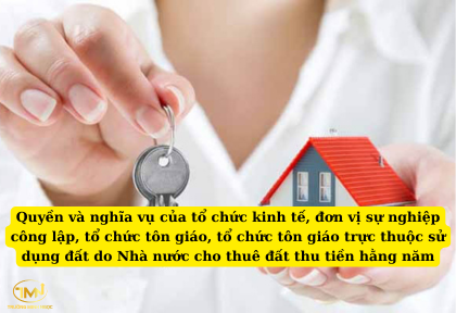 Quyền và nghĩa vụ của tổ chức kinh tế, đơn vị sự nghiệp công lập, tổ chức tôn giáo, tổ chức tôn giáo trực thuộc sử dụng đất do Nhà nước cho thuê đất thu tiền hằng năm (Ảnh minh họa)
