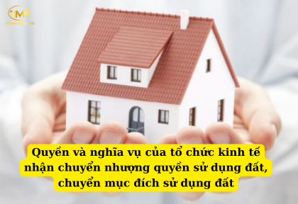 Quyền và nghĩa vụ của tổ chức kinh tế nhận chuyển nhượng quyền sử dụng đất, chuyển mục đích sử dụng đất (Ảnh minh họa)