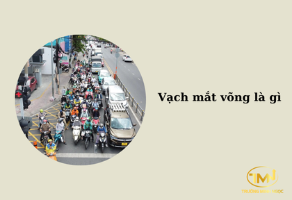Vạch mắt võng là gì (Ảnh minh họa)
