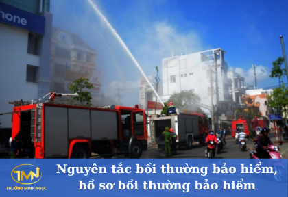 Nguyên tắc bồi thường bảo hiểm, hồ sơ bồi thường bảo hiểm (Ảnh minh họa)