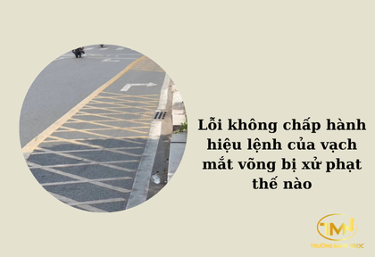 Lỗi không chấp hành hiệu lệnh của vạch mắt võng bị xử phạt thế nào (Ảnh minh họa)