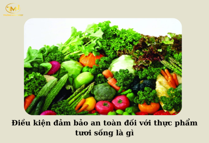 Điều kiện đảm bảo an toàn đối với thực phẩm tươi sống là gì (Ảnh minh họa)