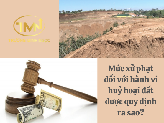 Mức xử phạt đối với hành vi huỷ hoại đất được quy định ra sao? (Ảnh minh hoạ)