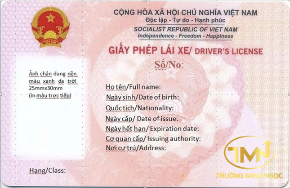 Mất bản gốc giấy phép lái xe có được cấp lại không? (Ảnh minh hoạ)