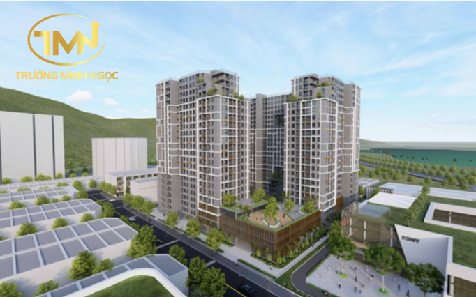 Tổ chức kinh tế thuê đất của Nhà nước được cho thuê lại quyền sử dụng đất không? (Ảnh minh hoạ)