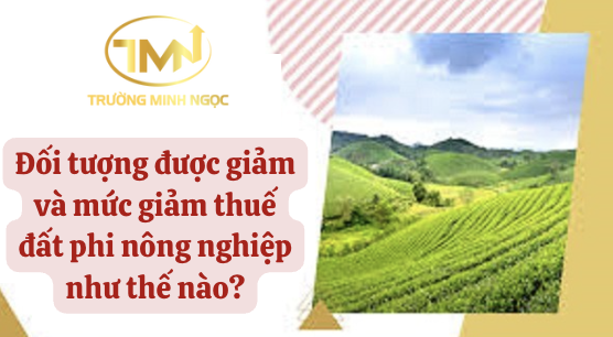 Đối tượng được giảm và mức giảm thuế đất phi nông nghiệp như thế nào? (Ảnh minh hoạ)