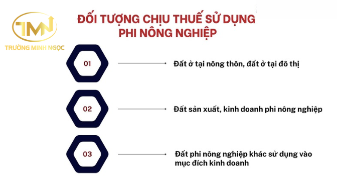 Đối tượng chịu thuế sử dụng đất phi nông nghiệp là gì? (Ảnh minh hoạ)