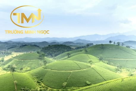 Nộp thuế sử dụng đất phi nông nghiệp tại đâu? (Ảnh minh hoạ)