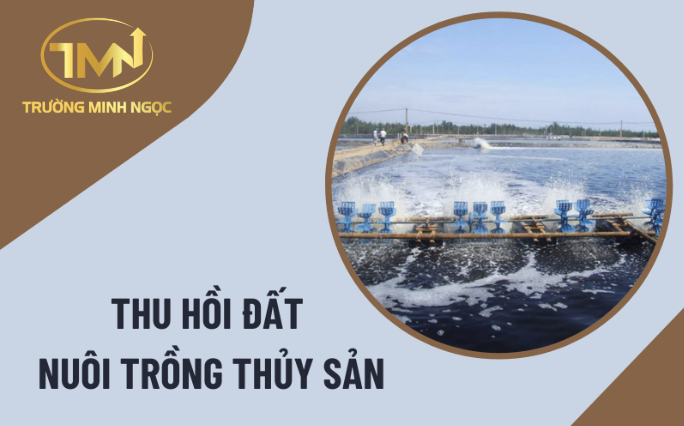 Đất nuôi trồng thủy sản bị thu hồi trong trường hợp nào? (Ảnh minh hoạ)