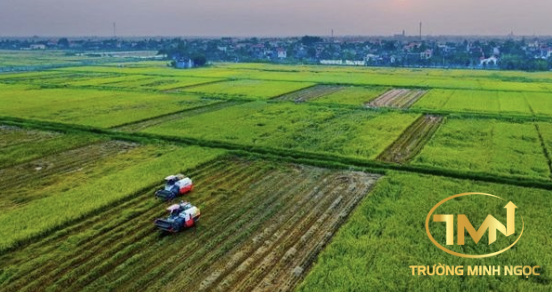 Đất nông nghiệp không có giấy tờ khi thu hồi có được bồi thường không? (Ảnh minh hoạ)