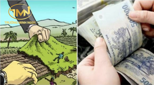 Đất nông nghiệp không giấy tờ có được hỗ trợ khi thu hồi? (Ảnh minh hoạ)