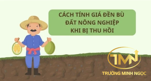 Tính giá đền bù đất nông nghiệp khi thu hồi đất ra sao? (Ảnh minh hoạ)