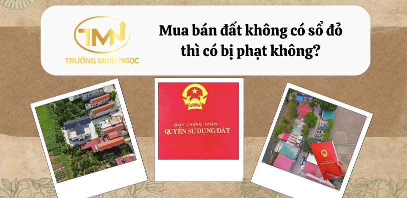 Mua bán đất không có sổ đỏ thì có bị phạt không? (Ảnh minh hoạ)