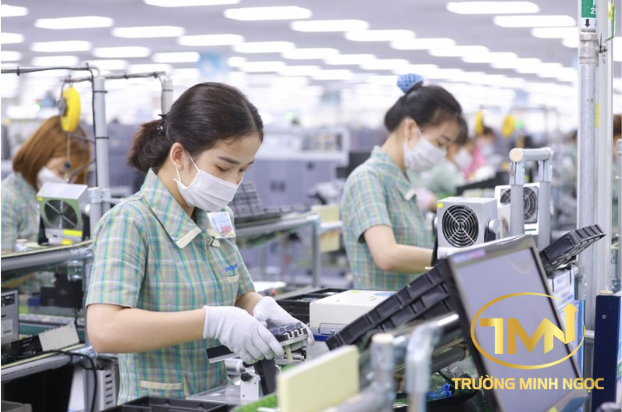 Hết bão, doanh nghiệp có được yêu cầu người lao động đi làm bù không? (Ảnh minh hoạ)