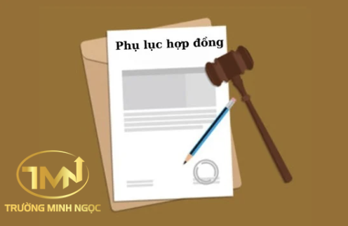 Phân loại phụ lục hợp đồng lao động? (Ảnh minh hoạ)