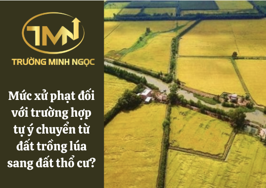 Mức xử phạt đối với trường hợp tự ý chuyển từ đất trồng lúa sang đất thổ cư? (Ảnh minh hoạ)