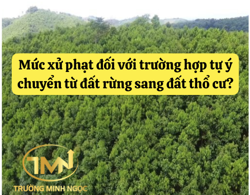 Mức xử phạt đối với trường hợp tự ý chuyển từ đất rừng sang đất thổ cư? (Ảnh minh hoạ)