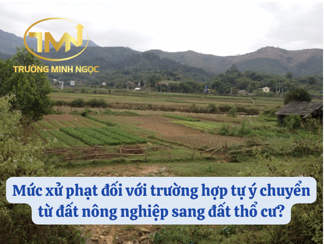 Mức xử phạt đối với trường hợp tự ý chuyển từ đất nông nghiệp sang đất thổ cư? (Ảnh minh hoạ)