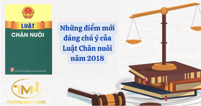 Những điểm mới đáng chú ý của Luật Chăn nuôi năm 2018 (Ảnh minh hoạ)