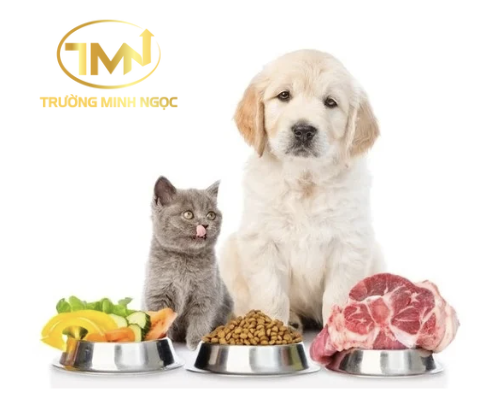 Cung cấp đầy đủ thức ăn, nước uống cho chó, mèo (Ảnh minh hoạ)