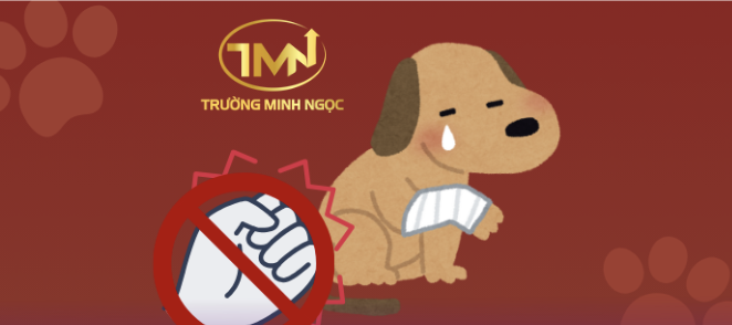 Không được đánh đập, hành hạ chó, mèo (Ảnh minh hoạ)