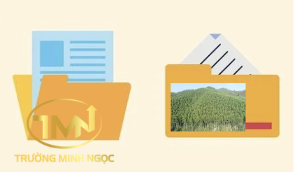 Phương án sử dụng đất cho công ty nông, lâm nghiệp lập bao gồm những nội dung gì? (Ảnh minh hoạ)