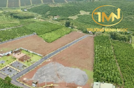 Trình tự, thủ tục điều chỉnh thời hạn sử dụng đất của dự án đầu tư được quy định như thế nào? (Ảnh minh hoạ)