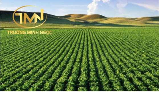 Nhà nước thu hồi đất gây thiệt hại đối với cây trồng trên đất thì có được bồi thường không? (Ảnh minh hoạ)