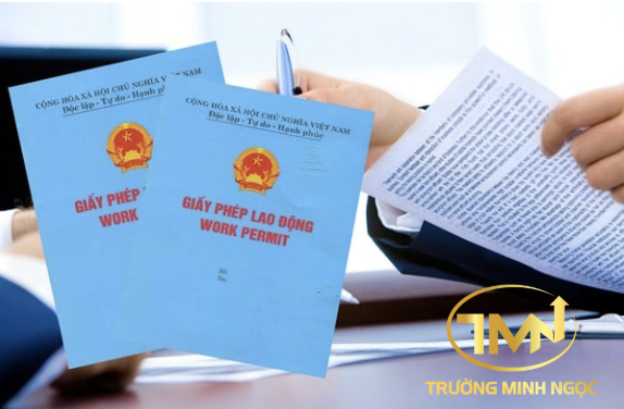 Đề nghị cấp lại giấy phép lao động cần chuẩn bị hồ sơ gì? (Ảnh minh hoạ)
