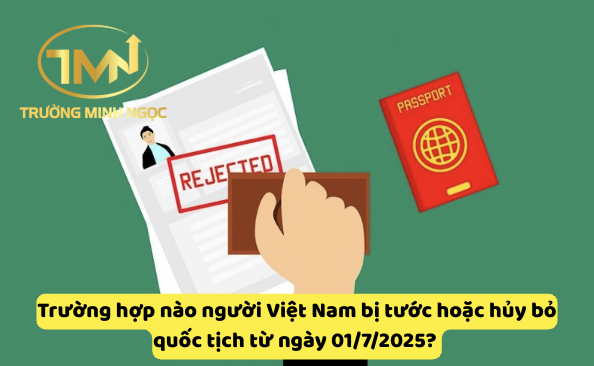 Trường hợp nào người Việt Nam bị tước hoặc hủy bỏ quốc tịch từ ngày 01/7/2025? (Ảnh minh hoạ)