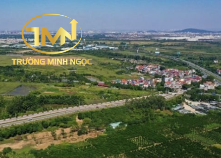 Dựa trên các căn cứ nào để xác định loại đất? (Ảnh minh hoạ)
