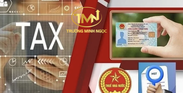 Sử dụng số định danh cá nhân thay mã số thuế từ ngày 01/7/2025 có đúng không? (Ảnh minh hoạ)