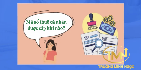 Mã số thuế cá nhân được cấp khi nào? (Ảnh minh hoạ)