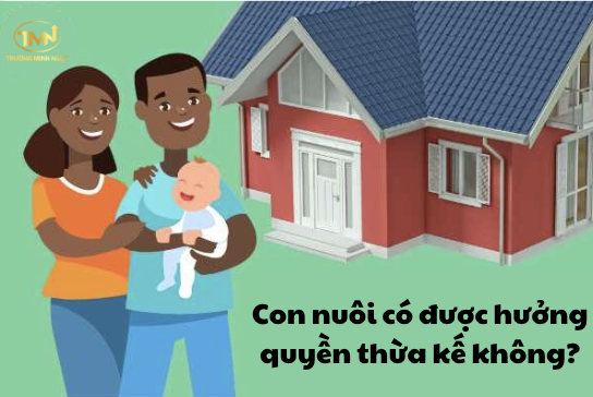 Con nuôi có được hưởng quyền thừa kế không? (Ảnh minh hoạ)