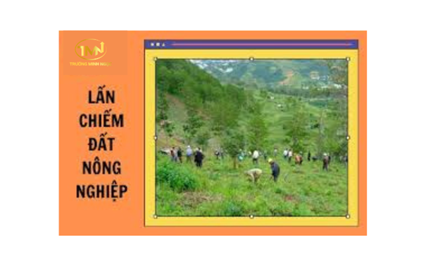 Thế nào là hành vi lấn, chiếm đất nông nghiệp