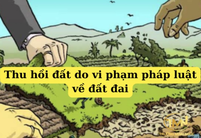 Trường hợp thu hồi đất do vi phạm pháp luật đất đai (Ảnh minh họa)