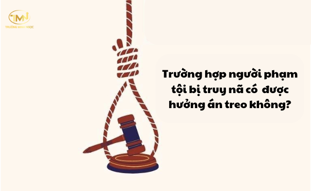 Người phạm tội bị truy nã có được hưởng án treo không?