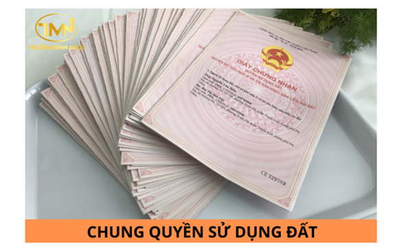 Có giới hạn số người sử dụng đất đứng tên trên sổ hồng không?